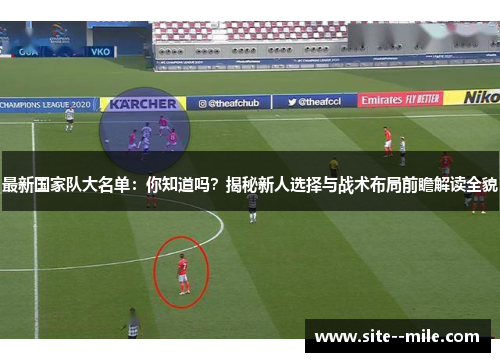 最新国家队大名单：你知道吗？揭秘新人选择与战术布局前瞻解读全貌