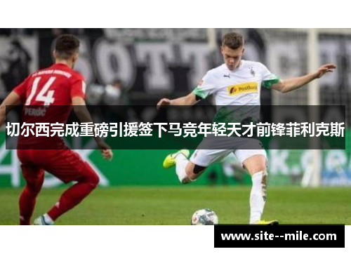 切尔西完成重磅引援签下马竞年轻天才前锋菲利克斯