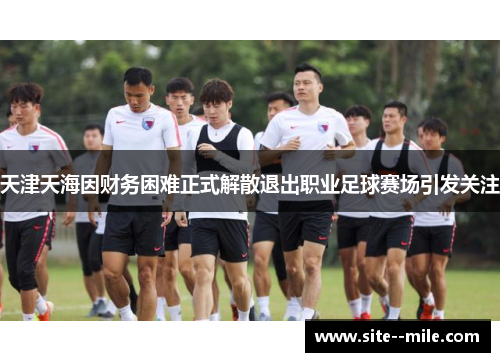 天津天海因财务困难正式解散退出职业足球赛场引发关注 天津天海因财务困难正式解散退出职业足球赛场引发关注